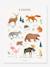 Animals of Europe Poster, Living Earth by LILIPINSO brown 