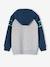 Hooded Sweatshirt, Graphic Motif, Raglan Sleeves, for Boys ink blue 