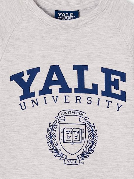 Yale® Sweater Dress for Girls marl grey 