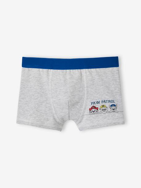 Pack of 3 Paw Patrol® Boxers for Boys electric blue 