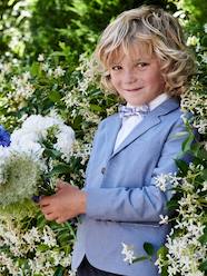 Boys-Occasion Wear Cotton/Linen Jacket for Boys