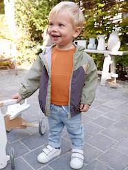 Windcheater Jacket for Baby Boys, by CYRILLUS