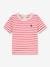 Short Sleeve T-Shirt in Organic Cotton, by PETIT BATEAU white 