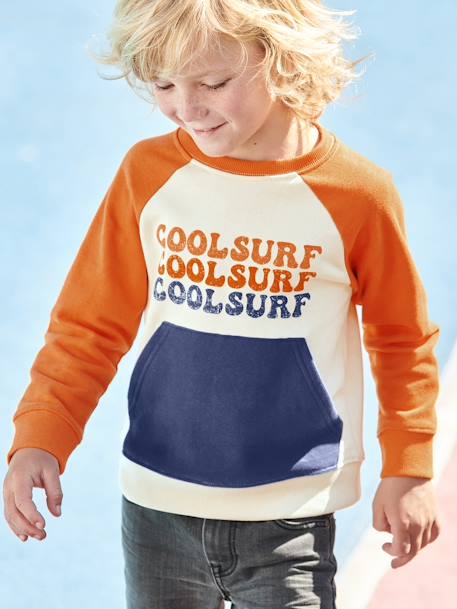 Cool Surf Sweatshirt, Colourblock Effect, for Boys multicoloured 
