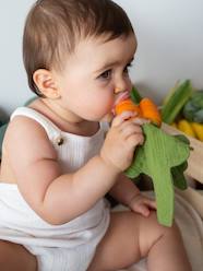 Nursery-Mealtime-Soothers & Teething Ring-Cathy the Carrot Mini Comforter - OLI & CAROL