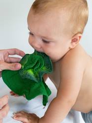 Nursery-Mealtime-Soothers & Teething Ring-Kendall the Kale Mini Comforter - OLI & CAROL