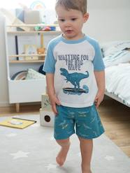 Printed Pyjamas for Boys, Surfing Dino