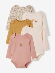 Baby-Bodysuits & Sleepsuits-Pack of 5 "Reindeer" Bodysuits with Cutaway Shoulders for Babies