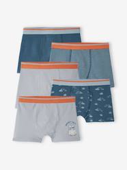 Boys-Underwear-Underpants & Boxers-Pack of 5 Stretch Yeti Boxers for Boys