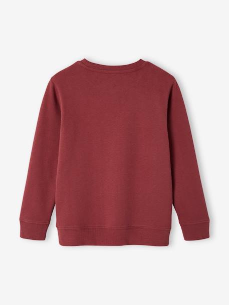Basics Sweatshirt with Graphic Motifs for Boys bordeaux red+green+night blue+pecan nut 