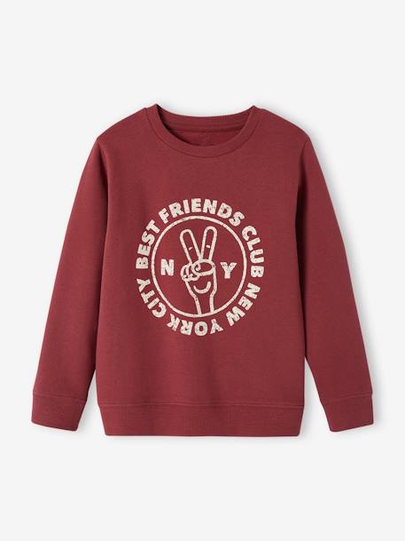 Basics Sweatshirt with Graphic Motifs for Boys bordeaux red+green+night blue+pecan nut 