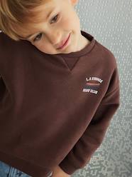 Boys-Cardigans, Jumpers & Sweatshirts-Sweatshirts & Hoodies-Sweatshirt with Fun Motif on the Back, for Boys
