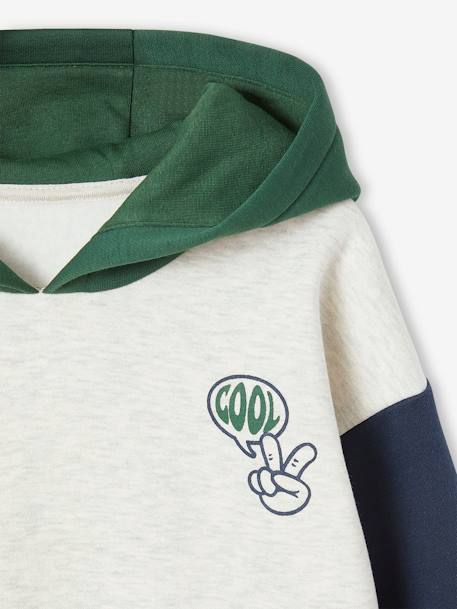 Hooded Colourblock Sweatshirt for Boys green 