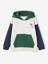 -Hooded Colourblock Sweatshirt for Boys