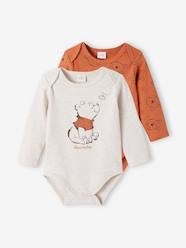 Baby-Bodysuits & Sleepsuits-Pack of 2 Winnie The Pooh Bodysuits by Disney® for Baby Boys