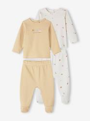 Pack of 2 Dinosaur Sleepsuits in Interlock Fabric for Babies