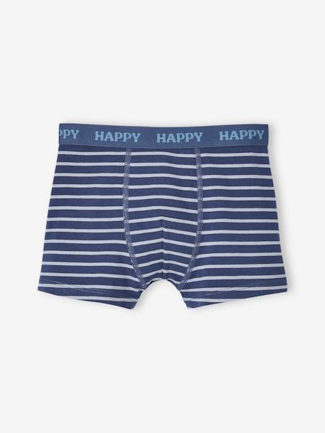 Pack of 3 Stretch Dog Boxers for Boys grey blue 