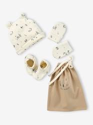 Beanie + Mittens + Booties + Pouch Set for Babies