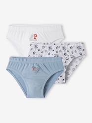 Boys-Underwear-Pack of 3 Paw Patrol® Briefs for Boys