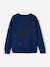 Marl Knit Jumper with Animation on the Front for Boys electric blue 