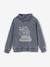 Sweatshirt with Snood Collar, Pirate Ship Motif & Faded Effect for Boys marl grey 