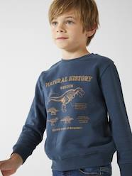 Boys-Cardigans, Jumpers & Sweatshirts-Basics Sweatshirt with Graphic Motifs for Boys