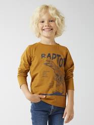 Boys-Tops-T-Shirts-Basics Long Sleeve Top with Fun or Graphic Motif for Boys