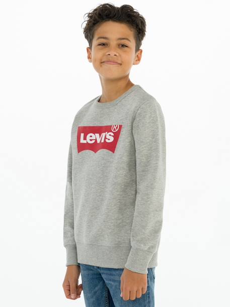 Batwing Crewneck Sweatshirt for Boys, by Levi's® grey 