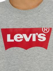 Boys-Batwing Crewneck Sweatshirt for Boys, by Levi's®