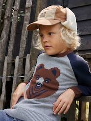 Boys-Cardigans, Jumpers & Sweatshirts-Jacquard Bear Jumper with Raglan Sleeves for Boys