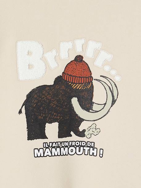 Sweatshirt with Mammoth & Bouclé Knit Details, for Boys beige 