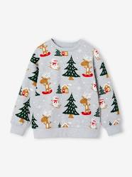 Christmas Sweatshirt with Fun Motifs for Boys