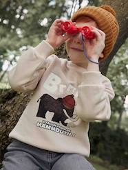 Boys-Cardigans, Jumpers & Sweatshirts-Sweatshirt with Mammoth & Bouclé Knit Details, for Boys