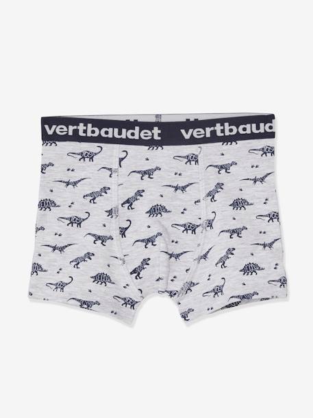 Pack of 5 Stretch Boxers for Boys, Dinosaurs Light Grey/Print 
