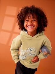 Boys-Cardigans, Jumpers & Sweatshirts-Dinosaur Sweatshirt with Sherpa-Lined Hood for Boys