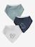 Set of 3 Bandana Bibs in Towelling grey blue+set pink 