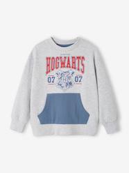 Boys-Cardigans, Jumpers & Sweatshirts-Sweatshirts & Hoodies-Harry Potter® Sweatshirt for Boys