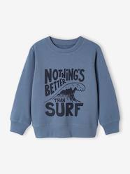 Basics Sweatshirt with Graphic Motif for Boys