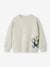 Sports Sweatshirt with Mascot Motif on the Front & Back for Boys marl white 