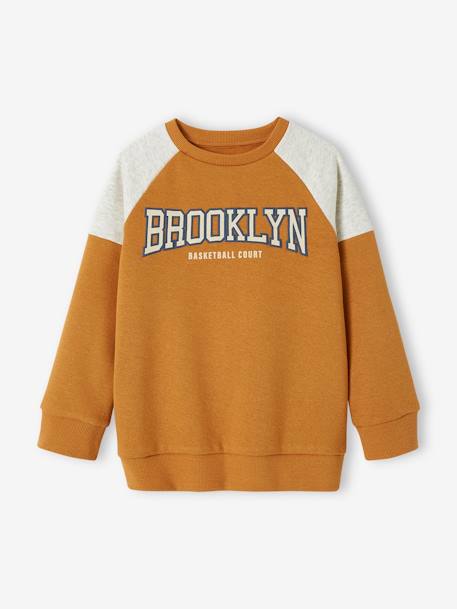 Team Brooklyn Colourblock Sports Sweatshirt for Boys pecan nut+royal blue 