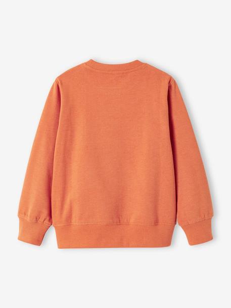 Basics Sweatshirt with Graphic Motif for Boys apricot+grey blue+marl beige+pistachio 