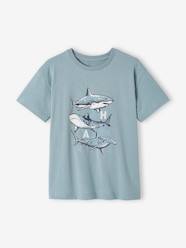 Boys-Tops-T-Shirt with Animal Motif for Boys