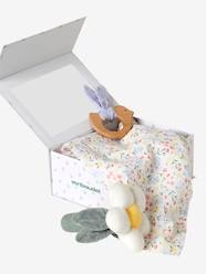 -3-Item Gift Box: Soft Toy + Rattle + Picture Book