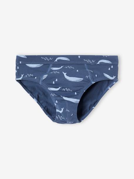Pack of 7 Whale Briefs in Stretch Organic Cotton for Boys sky blue 