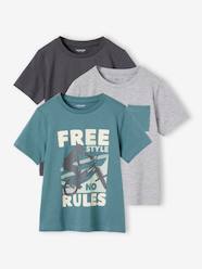 Pack of 3 Assorted T-Shirts for Boys