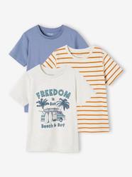 Boys-Pack of 3 Assorted T-Shirts for Boys