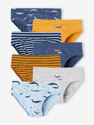 Boys-Underwear-Pack of 7 Whale Briefs in Stretch Organic Cotton for Boys