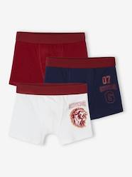 Boys-Underwear-Pack of 3 Harry Potter® Boxer Shorts for Children