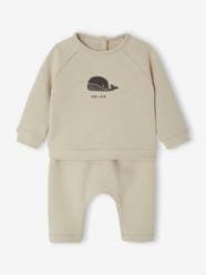 Sweatshirt & Trousers Combo for Babies