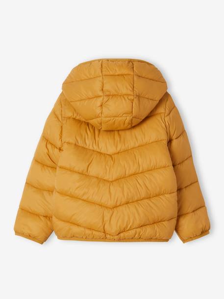 Lightweight Hooded Jacket for Girls lichen+mustard+sky blue 